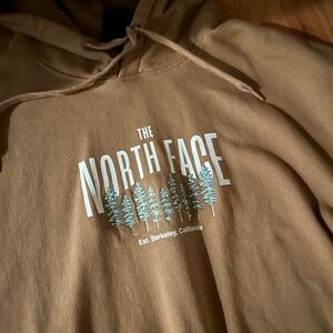 The North Face NWT Men's Brown Hoodie
